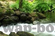 2010年中文韩国伦理片-2010年中文韩国伦理片，文化碰撞与人性探索的微妙平衡