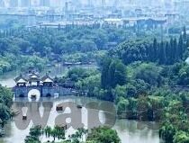 91麻豆精品在线播放-探索网络世界多元内容的新视角，91麻豆精品在线播放的背后