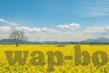 成人黄色淫秽视频-成人黄色淫秽视频，网络时代的隐忧与反思