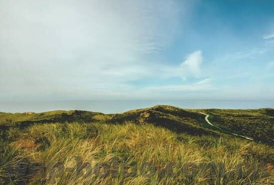 伦理小说排行2018小说-2018年伦理小说精选，人性光辉与道德困境的深度剖析