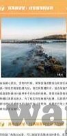 麻豆免费下载app-麻豆世界，解锁创意与乐趣的免费下载之旅