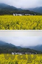 麻豆视频app免费下载-解锁精彩视界——探索麻豆视频APP免费下载的奇妙旅程