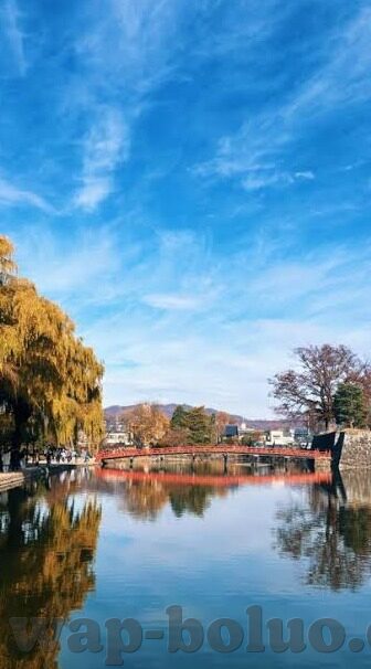 麻豆视频聊天-在光影中构建沟通新桥梁，麻豆视频聊天的多样生活画卷