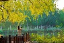麻豆文化传媒www-麻豆文化传媒——网络娱乐新风尚的缔造者