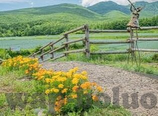 麻豆映画传媒app-麻豆映画传媒的创意集成与影像艺术魅力