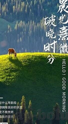 日韩毛片av高清-日韩影视文化中的视觉盛宴，高清毛片AV的多元视角