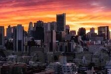 手机成人免费视频-手机成人视频，信息时代的娱乐新视角