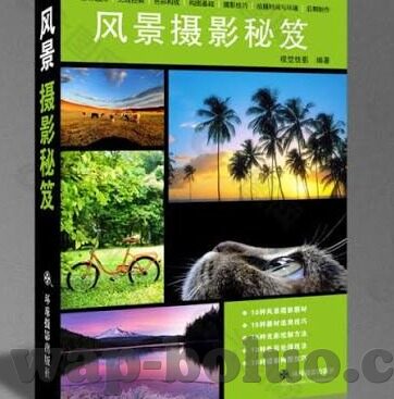 糖心app会员账号-探寻糖心app会员账号真实体验的深度旅程