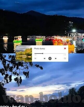 糖心app里面的-揭秘糖心app，深入理解与理性审视