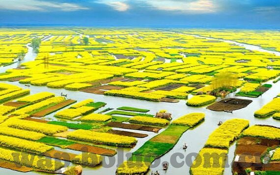 糖心播放器app-