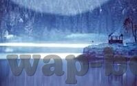 下载大象传媒视频app-探索数字娱乐新境界，下载大象传媒视频app的全面指南