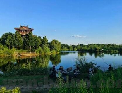 亚洲av片一区二区三区麻豆-可以是亚洲电影的市场与文化影响——分区视角下的麻豆现象剖析